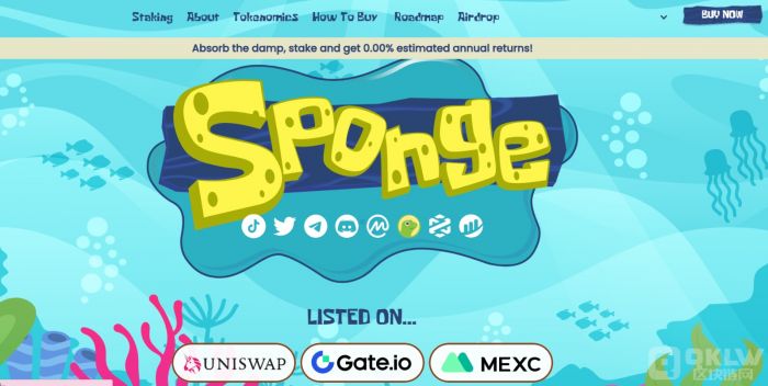 Sponge new.jpeg